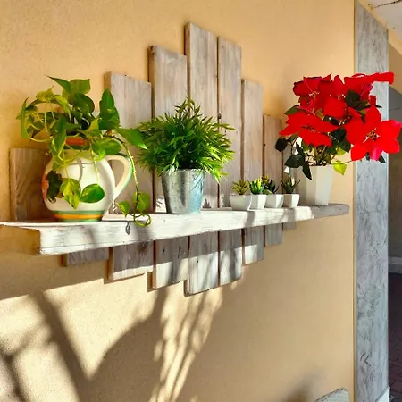 La Casita *
